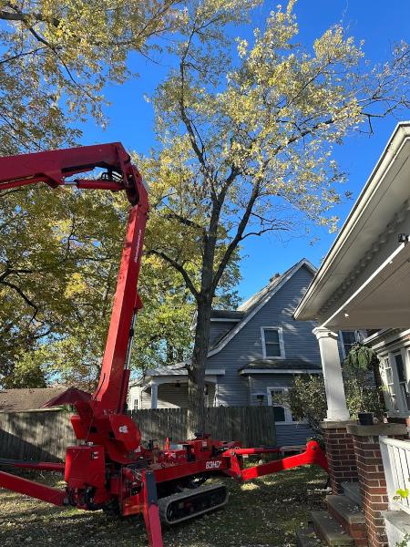 Hercules Tree Service LLC