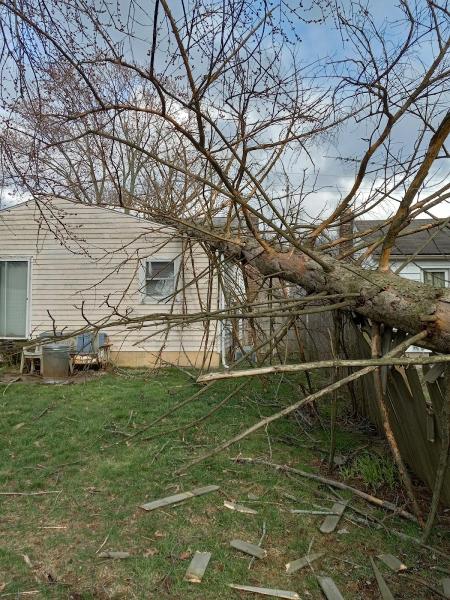 Hercules Tree Service LLC
