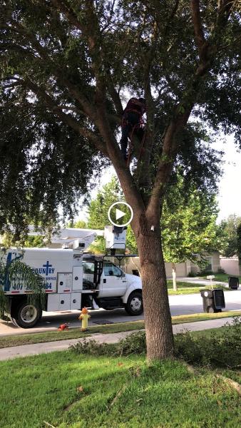 God's Country Tree Service