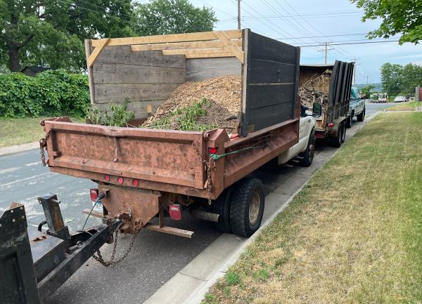 Tree Removal Today