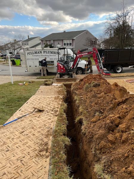 RED OAK Tree Service
