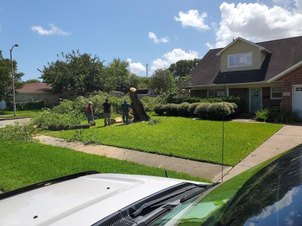 Evergreen Tree Service