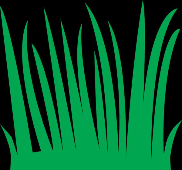 Atlantic Tree Solutions