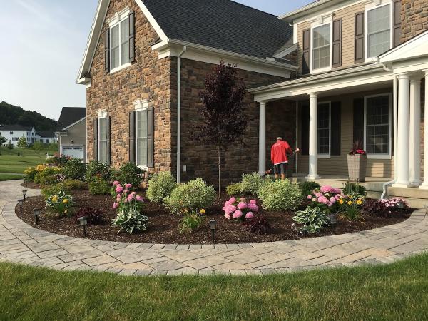 Picture Perfect Landscape and Christmas Decor