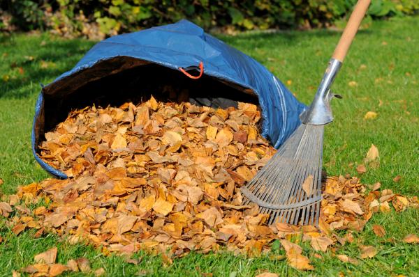 Student Loan Payment Lawn Care