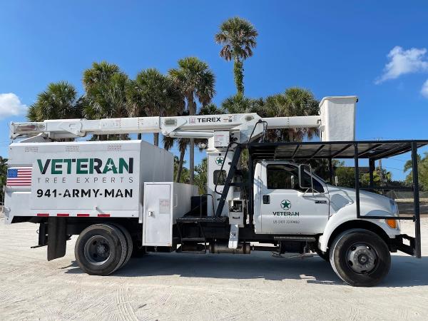 Veteran Tree Experts