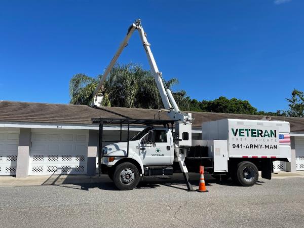 Veteran Tree Experts