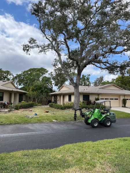 Veteran Tree Experts
