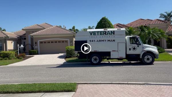 Veteran Tree Experts