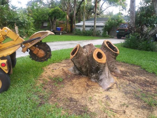 Jim Smith Trees & Lawns Inc
