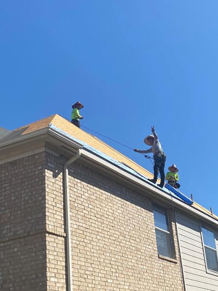 Lifeline Roofing Systems