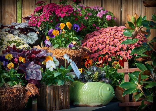 Price Landscaping