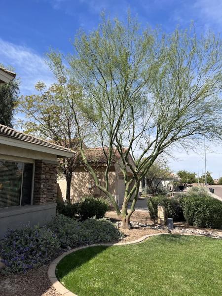 Top Leaf Tree Service