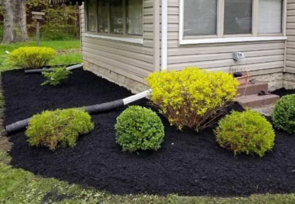Williams Lawn Care Services