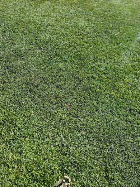 Blade to Blade Lawn & Landscape LLC