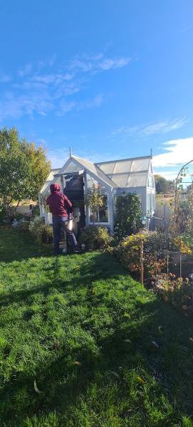 Action Window Cleaning