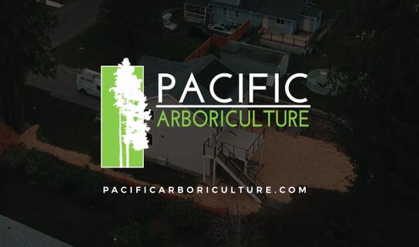 Pacific Arboriculture