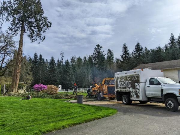 Pacific Arboriculture