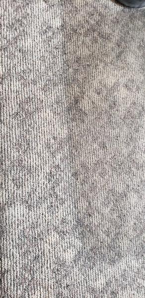 Atlas Carpet Cleaning