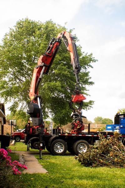 All About Trees
