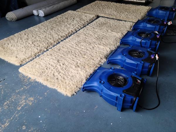 Barrows Carpet & Upholstery Cleaning Port Richey Florida