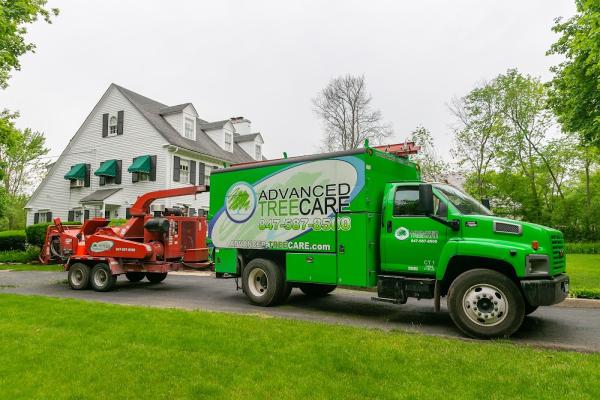 Advanced Tree Care