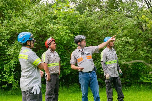 Advanced Tree Care