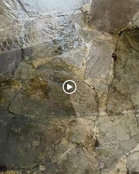 Prime Exterior Pressure Washing