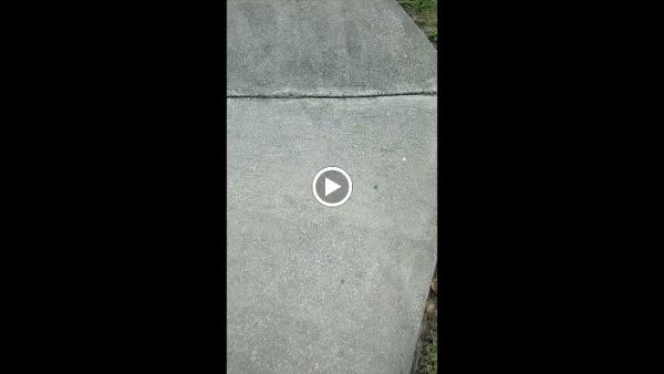 Prime Exterior Pressure Washing