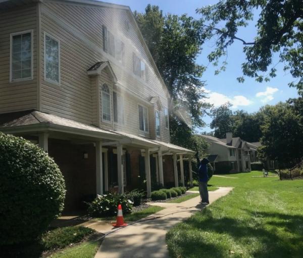 Elu's Painting and Services LLC