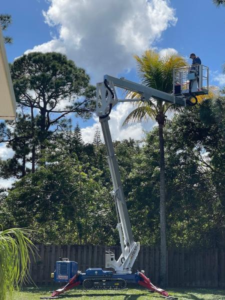 Kingsley Lawn Care and Tree Services