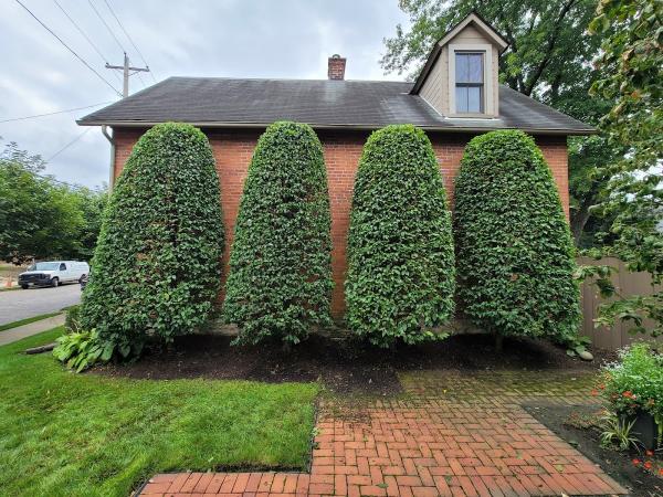 Arborist Solutions