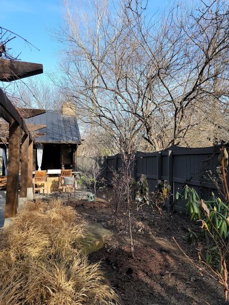 Arborist Solutions