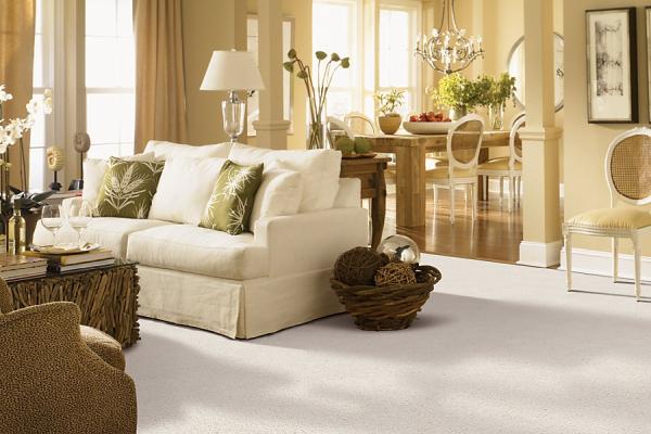 All Fresh Carpet Cleaners