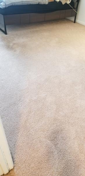 Jimmy's Professional Carpet Cleaning