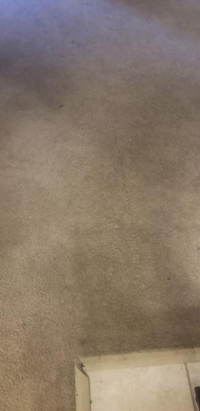 Jimmy's Professional Carpet Cleaning