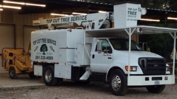 Top Cut Tree Service