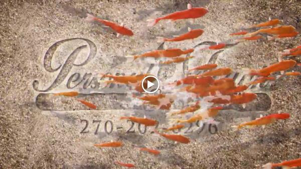 Personal Touch Lawn & Pond Pro