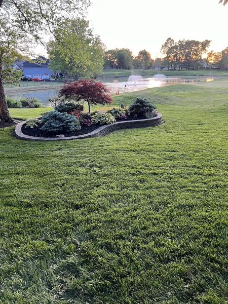 Evergreen Lawn Care & Landscaping