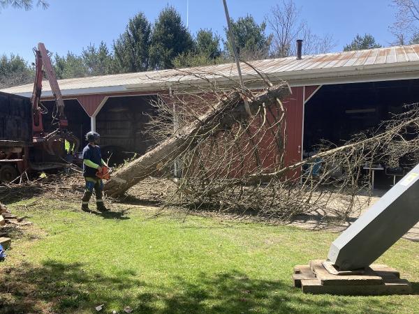 Safe Tech Tree Service