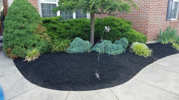 D2 Landscaping and Outdoor