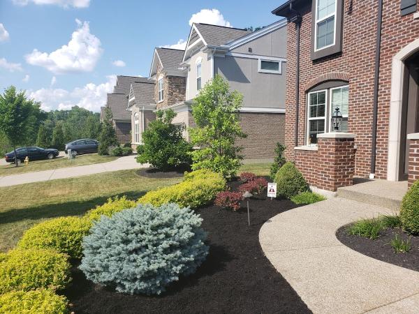 D2 Landscaping and Outdoor