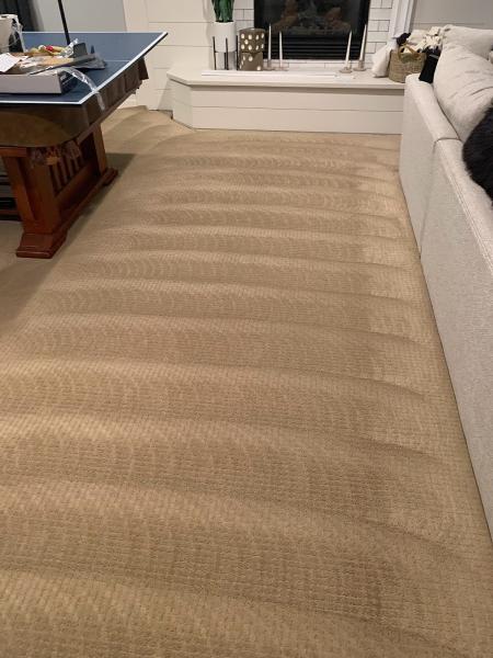 Platinum Carpet Cleaning