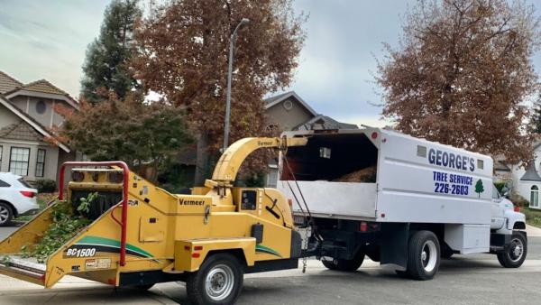 George's Tree Service