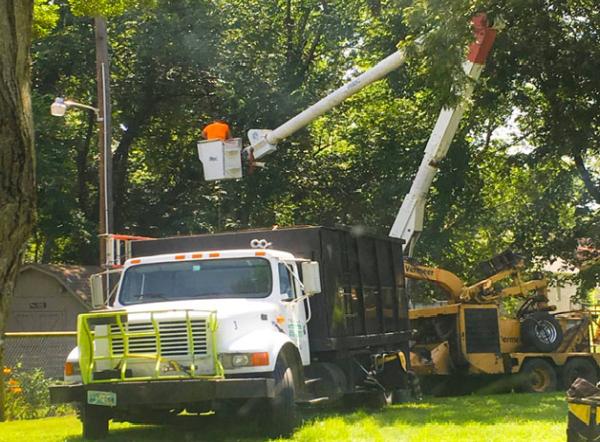 Kelley Tree Service