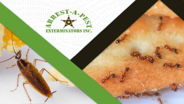 Arrest-a-Pest Exterminators