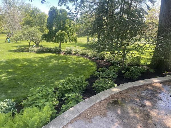 Tidy Up Lawncare and Maintenance