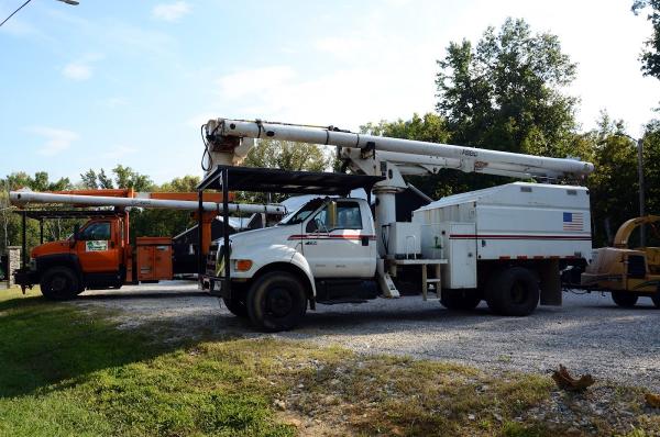 Tree KO Tree Service