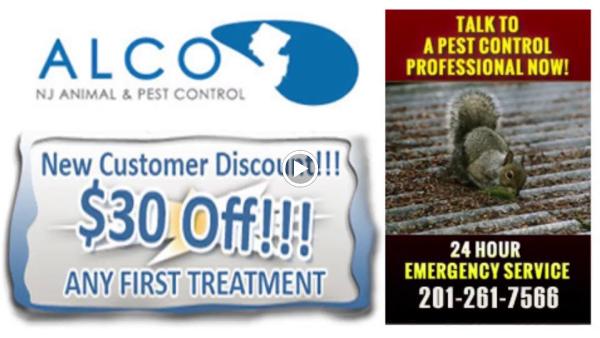 Alco Animal & Pest Control