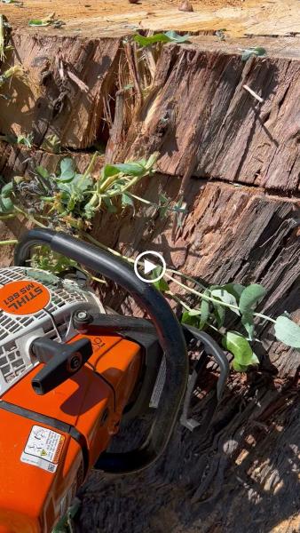 Delgado Landscape and Tree Service